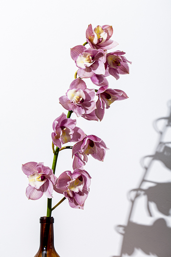 Flowers #5
