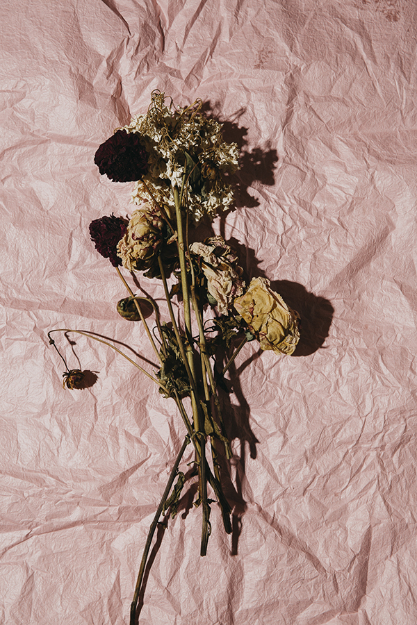 I Bought These For You #2