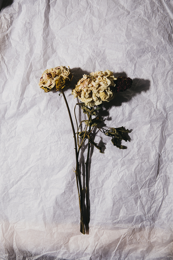 I Bought These For You #3